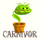 Carnivor - Jeu Web